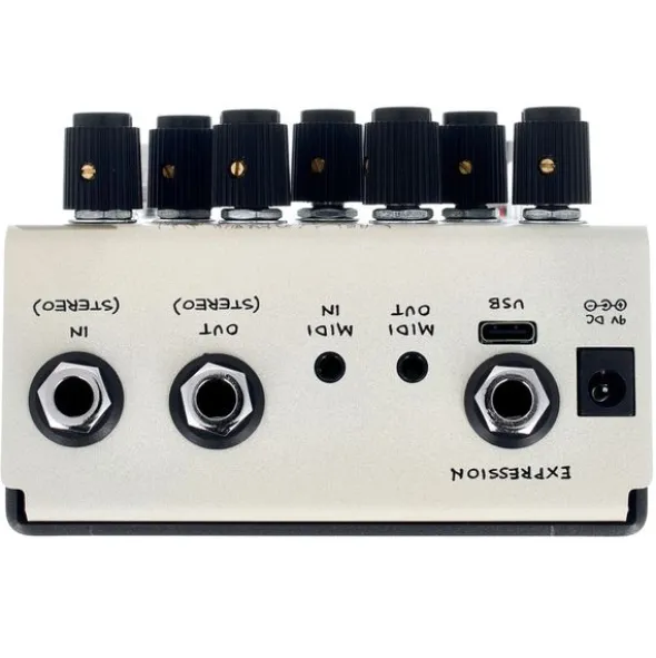Old Blood Noise Endeavors Black Fountain Stereo Delay CR