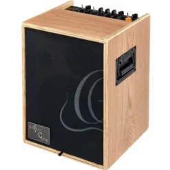 Ortega CONE-ASH Acoustic Amp