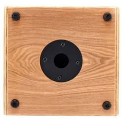 Ortega CONE-ASH Acoustic Amp
