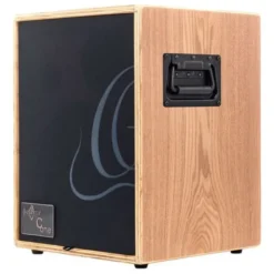 Ortega CONE-ASH Acoustic Amp