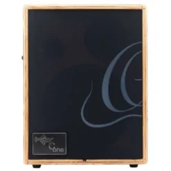 Ortega CONE-ASH Acoustic Amp