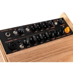 Ortega CONE-ASH Acoustic Amp