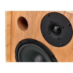 Ortega CONE-ASH Acoustic Amp