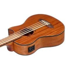 Ortega Lizzy Pro Bass Ukulele
