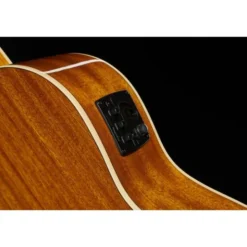 Ortega RCE141NT