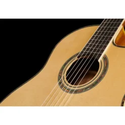 Ortega RCE141NT