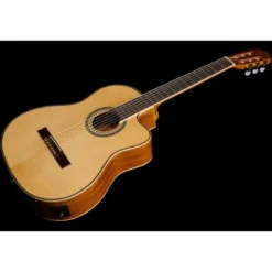 Ortega RCE141NT