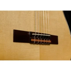 Ortega RCE141NT