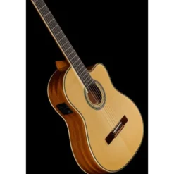 Ortega RCE141NT