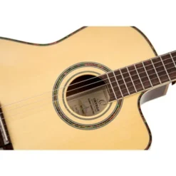 Ortega RCE145NT