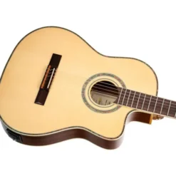 Ortega RCE145NT