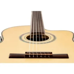 Ortega RCE145NT