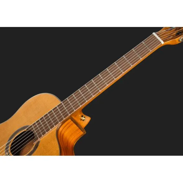 Ortega RCE24RO