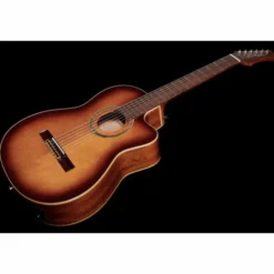 Ortega RCE238SN-FT