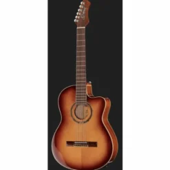 Ortega RCE238SN-FT