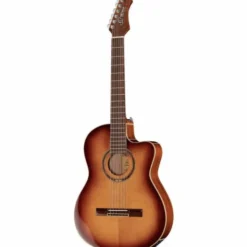 Ortega RCE238SN-FT