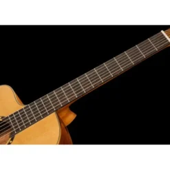 Ortega RCE131SN-L