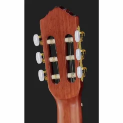Ortega R55DLX-BFT