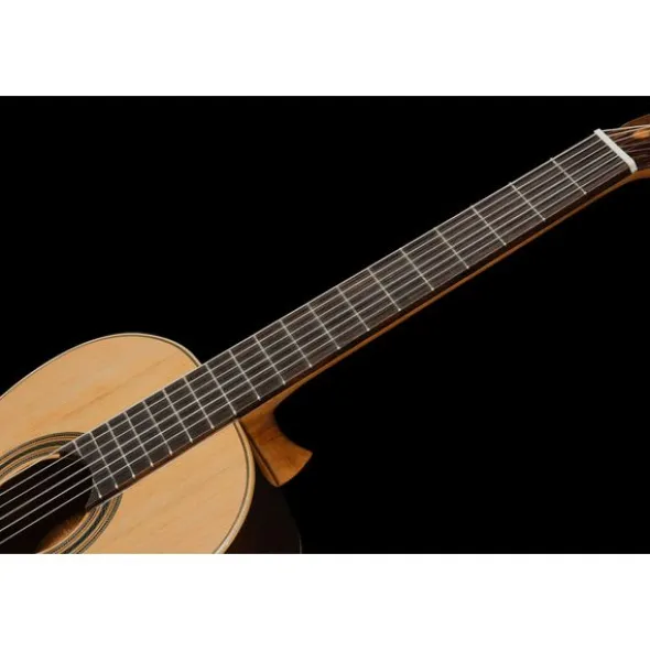 Ortega R19G