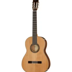Ortega R19G