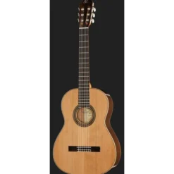 Ortega R19G