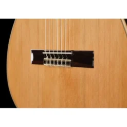 Ortega R19G