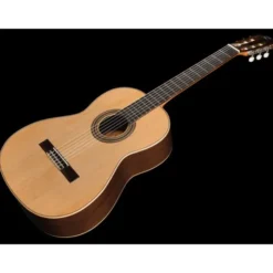 Ortega R19G