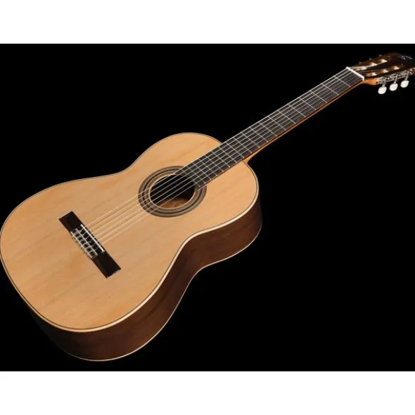 Ortega R19G