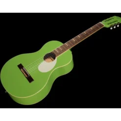 Ortega RGA-GAP Classicalguitar
