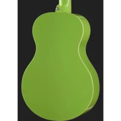 Ortega RGA-GAP Classicalguitar