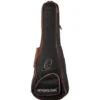 Ortega RGLE18BLF Guitarlele