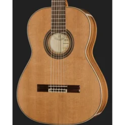 Ortega R20GSNRG