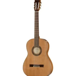 Ortega R20GSNRG