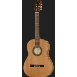 Ortega R20GSNRG
