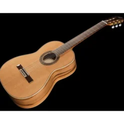 Ortega R20GSNRG