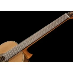 Ortega R20GSNRG