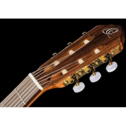 Ortega R20GSNRG