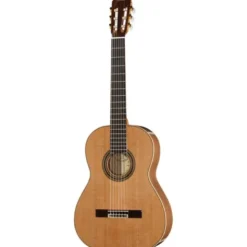 Ortega R20GWN