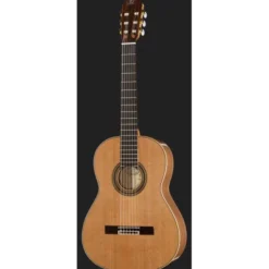 Ortega R20GWN