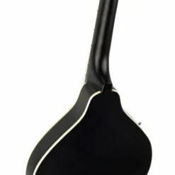 Ortega RMAE40SBK-L