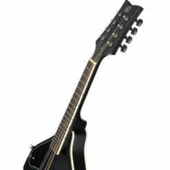 Ortega RMAE40SBK-L