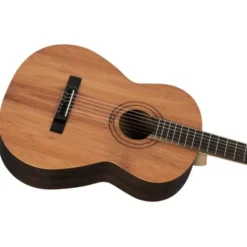 Ortega R16PC