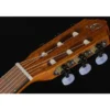 Ortega RQ25 Requinto