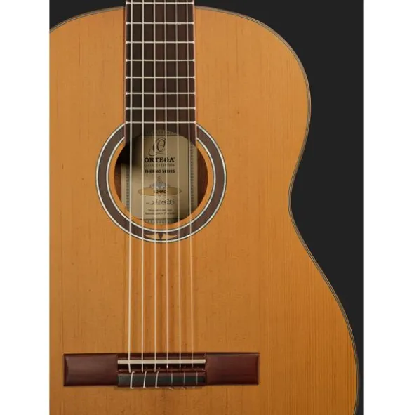 Ortega R24RO
