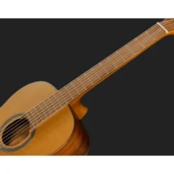 Ortega R23RO Thermo Series