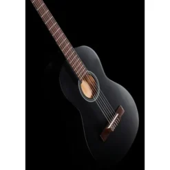 Ortega RST5M-3/4BK