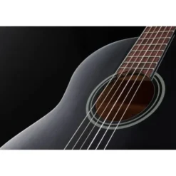 Ortega RST5M-3/4BK