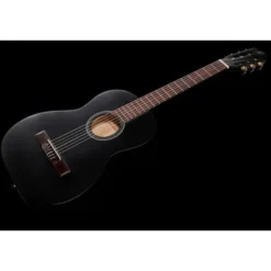Ortega RST5M-3/4BK