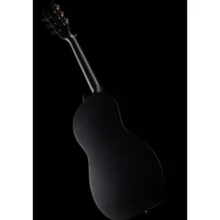 Ortega RST5M-3/4BK