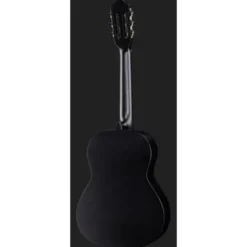 Ortega RST5M-3/4BK
